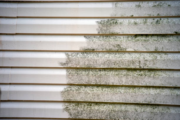 Best Siding Maintenance  in Eagan, MN