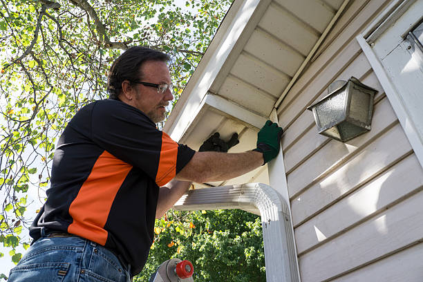 Best Brick Veneer Siding  in Eagan, MN